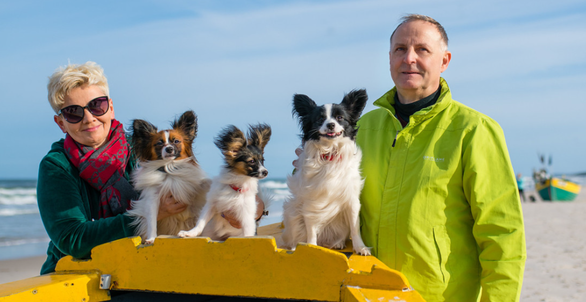 Czy papillony powinny nosić ubranka?